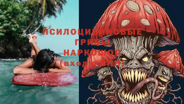 СК Алзамай